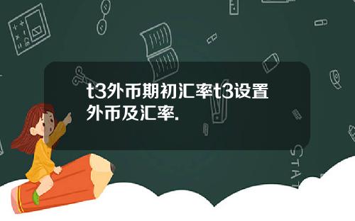 t3外币期初汇率t3设置外币及汇率.