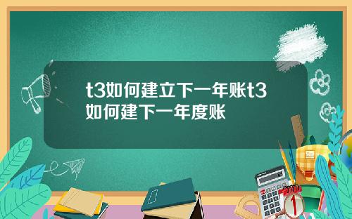 t3如何建立下一年账t3如何建下一年度账