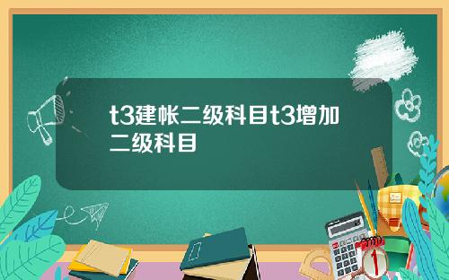 t3建帐二级科目t3增加二级科目