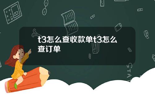 t3怎么查收款单t3怎么查订单