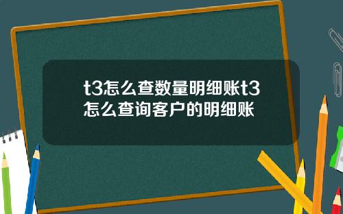 t3怎么查数量明细账t3怎么查询客户的明细账