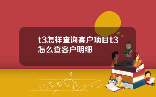 t3怎样查询客户项目t3怎么查客户明细