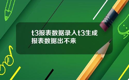 t3报表数据录入t3生成报表数据出不来