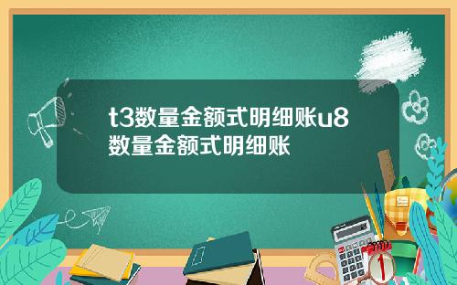 t3数量金额式明细账u8数量金额式明细账