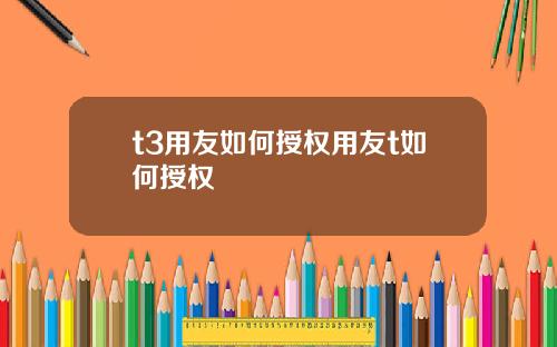 t3用友如何授权用友t如何授权