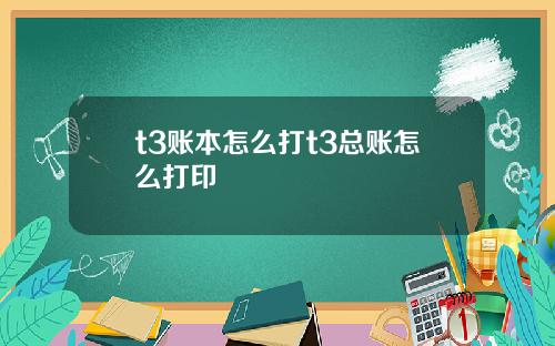 t3账本怎么打t3总账怎么打印