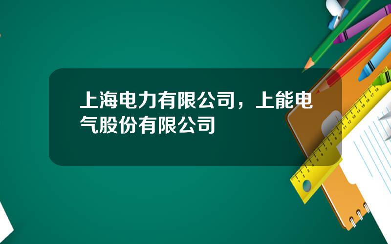 上海电力有限公司，上能电气股份有限公司