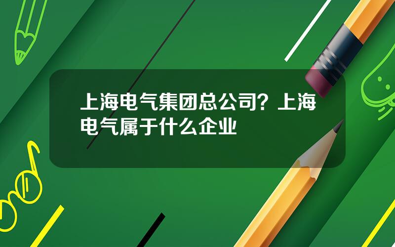 上海电气集团总公司？上海电气属于什么企业