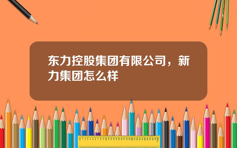 东力控股集团有限公司，新力集团怎么样