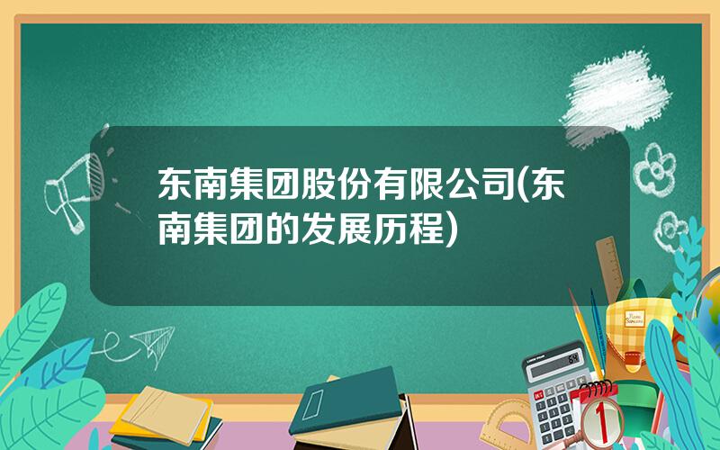 东南集团股份有限公司(东南集团的发展历程)