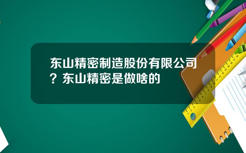 东山精密制造股份有限公司？东山精密是做啥的