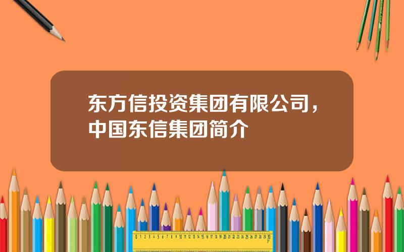 东方信投资集团有限公司，中国东信集团简介