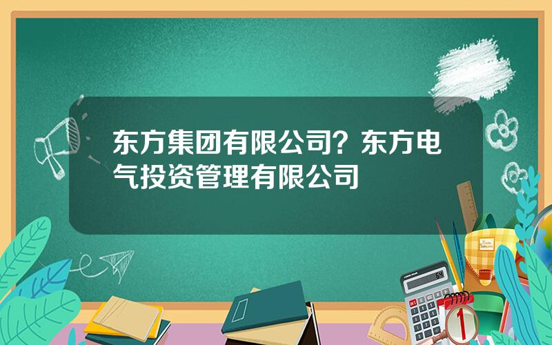 东方集团有限公司？东方电气投资管理有限公司