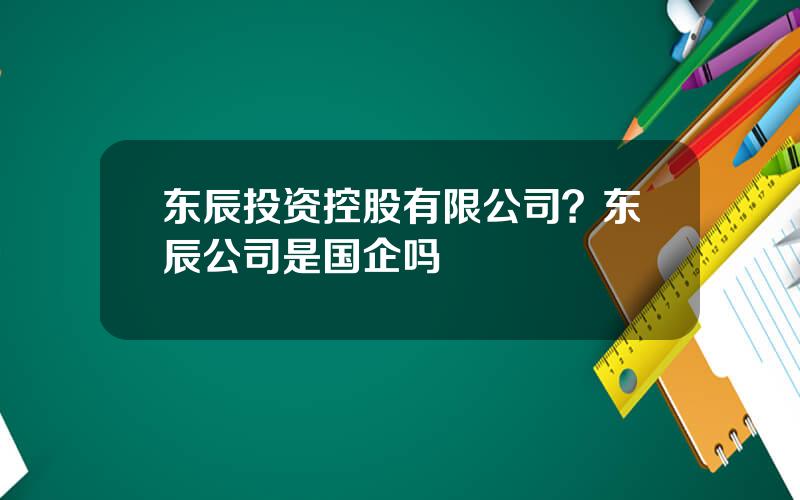 东辰投资控股有限公司？东辰公司是国企吗