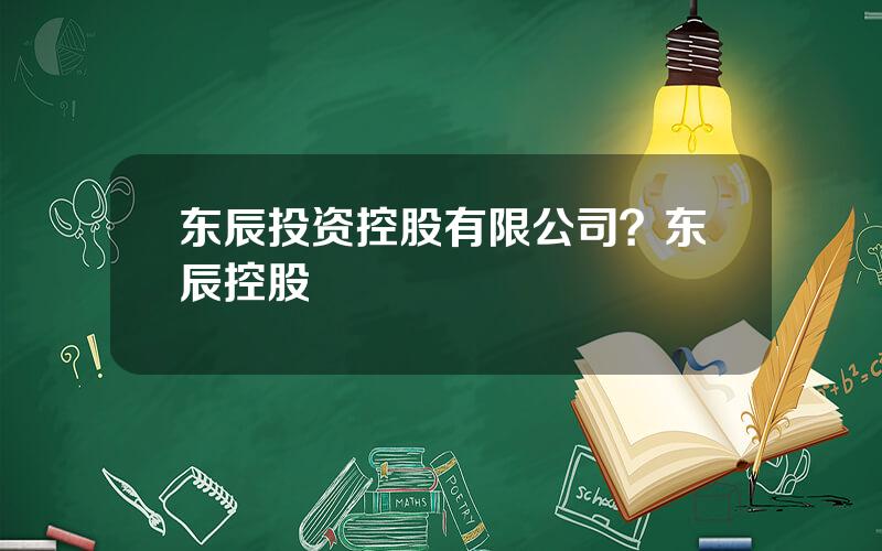 东辰投资控股有限公司？东辰控股