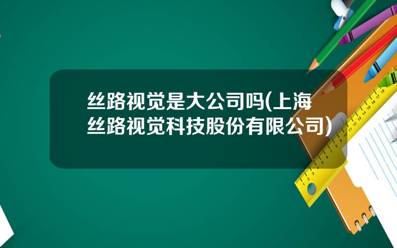 丝路视觉是大公司吗(上海丝路视觉科技股份有限公司)