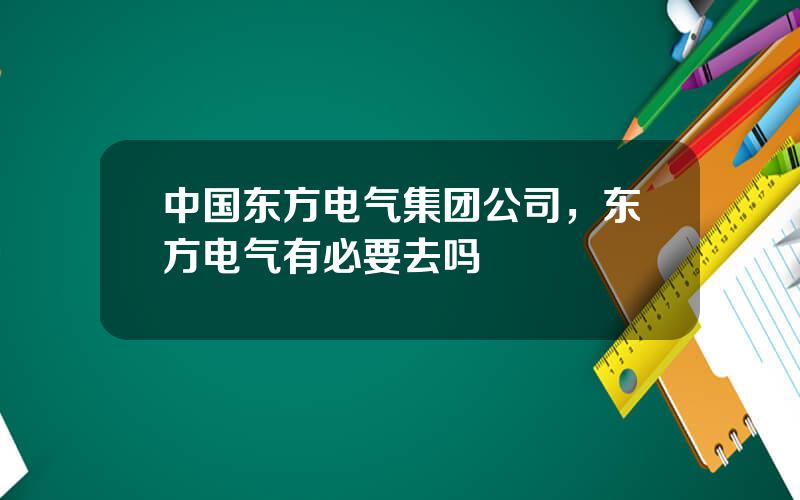 中国东方电气集团公司，东方电气有必要去吗