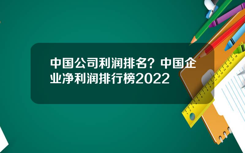 中国公司利润排名？中国企业净利润排行榜2022