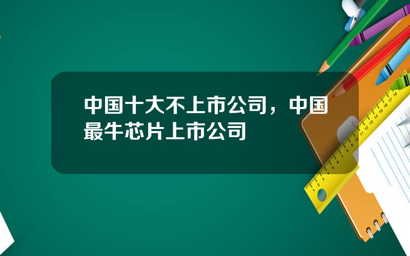 中国十大不上市公司，中国最牛芯片上市公司