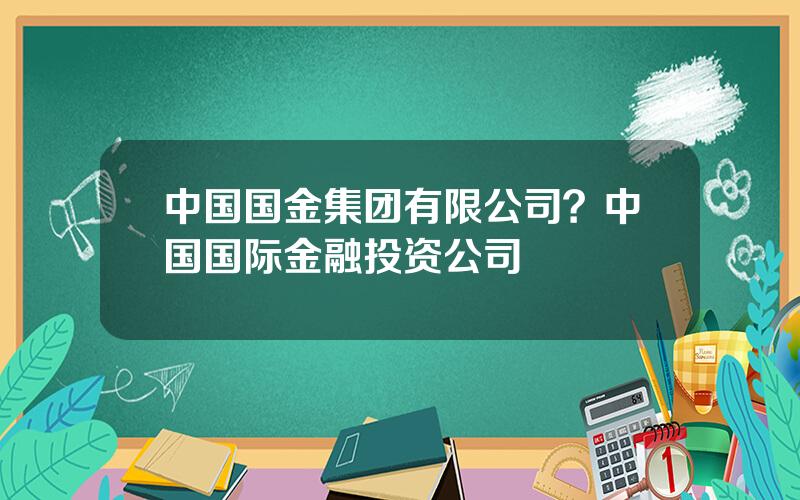 中国国金集团有限公司？中国国际金融投资公司