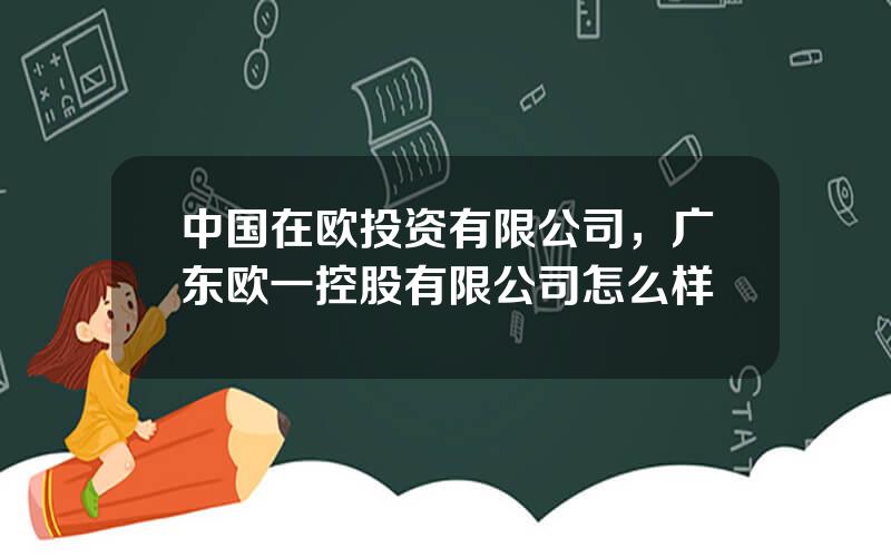 中国在欧投资有限公司，广东欧一控股有限公司怎么样