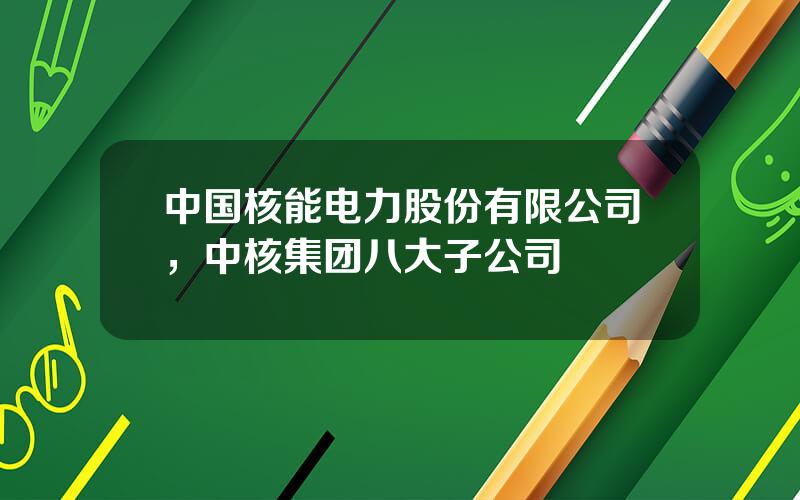 中国核能电力股份有限公司，中核集团八大子公司