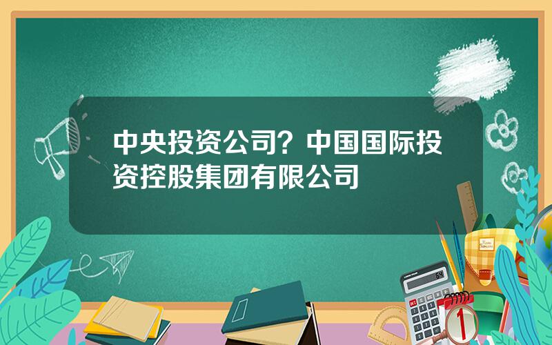 中央投资公司？中国国际投资控股集团有限公司