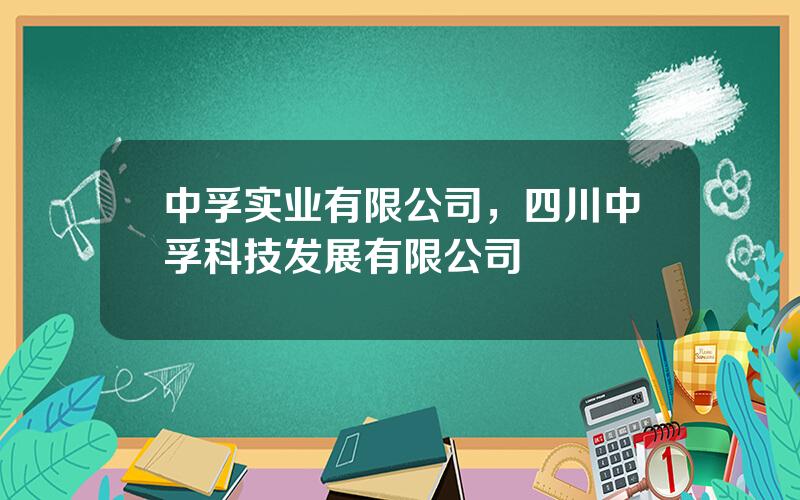 中孚实业有限公司，四川中孚科技发展有限公司