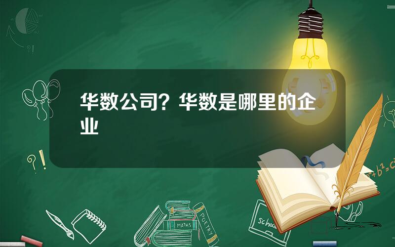 华数公司？华数是哪里的企业