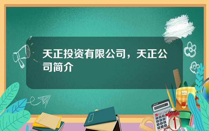 天正投资有限公司，天正公司简介