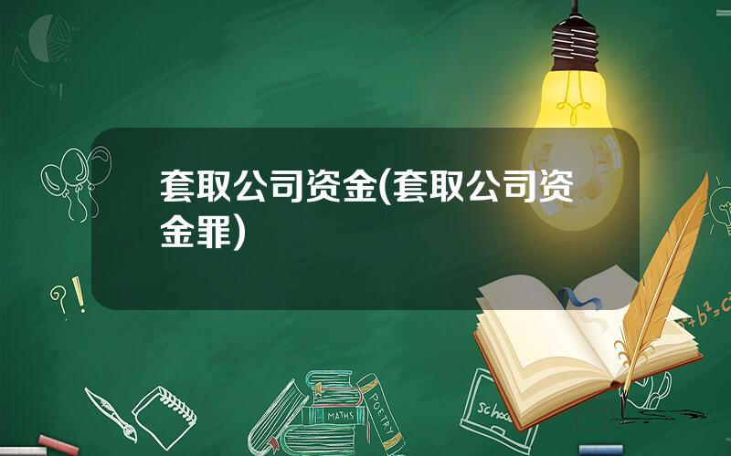 套取公司资金(套取公司资金罪)