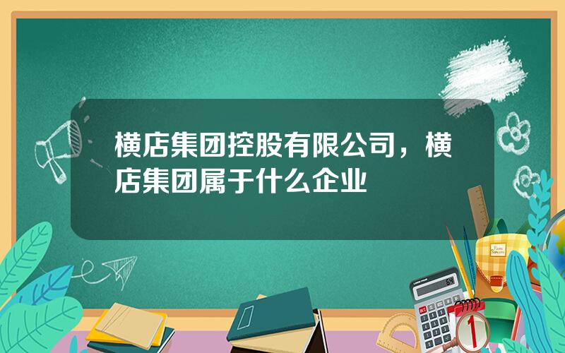 横店集团控股有限公司，横店集团属于什么企业