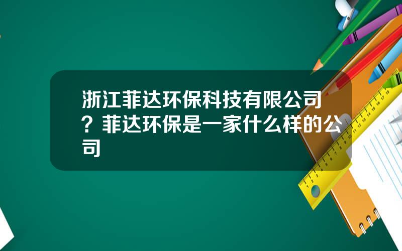 浙江菲达环保科技有限公司？菲达环保是一家什么样的公司