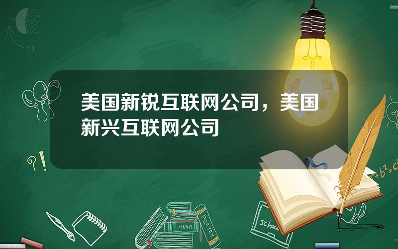 美国新锐互联网公司，美国新兴互联网公司