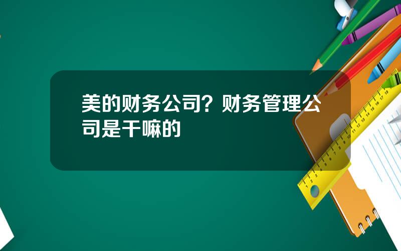 美的财务公司？财务管理公司是干嘛的